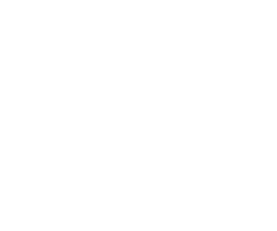 Metropolis