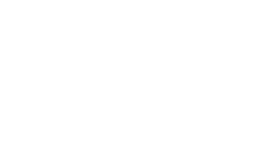 The Brick